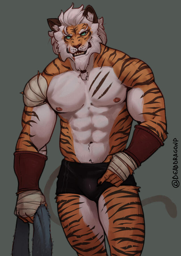 Sketch com acabamento